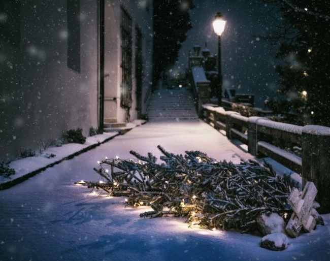 What to get rid of Christmas tree environmentally-friendly? Here are several ideas