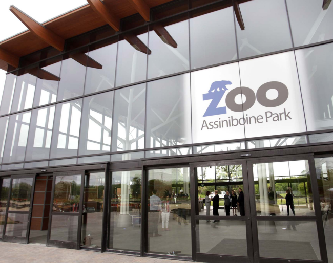 Winnipeg Zoo welcomes a baby white-handed gibbon