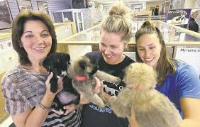 Adopt A Pal in Winnipeg