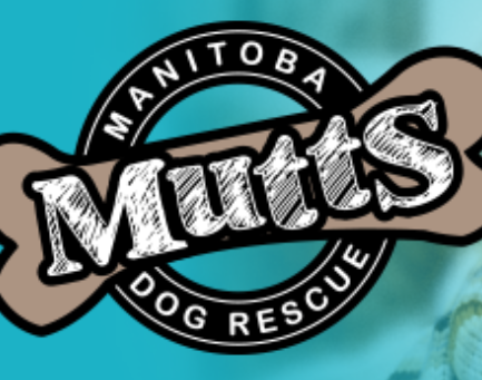 Rocky the dog became a new member of Bell MTS Place security team
