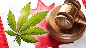 Campaign to change legislation for minor cannabis convictions visited Winnipeg