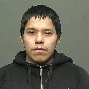Man stabbed a dog in the face