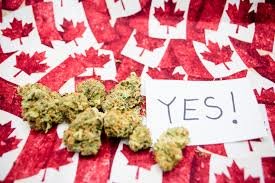 Sandy Bay resident gets a fine for supplying pot to an underage kid 