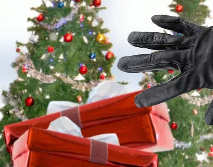 Snowflake projectors were stolen from Winnipeg resident