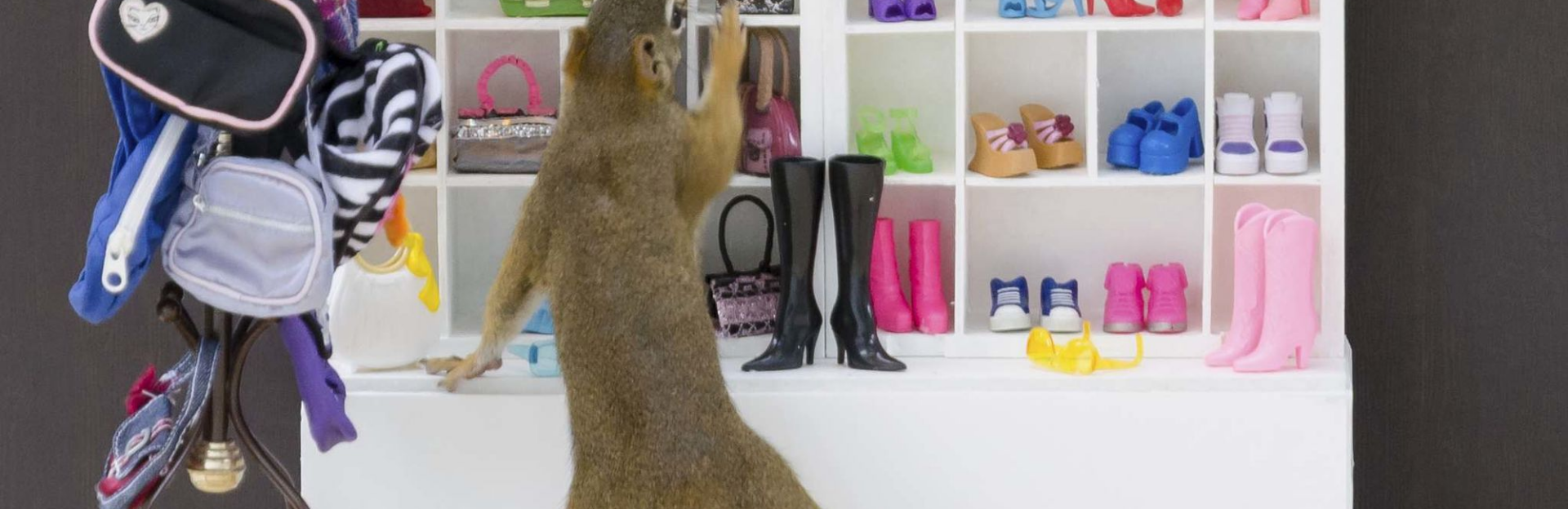 Winnipeg photographer takes unusual photos of squirrels