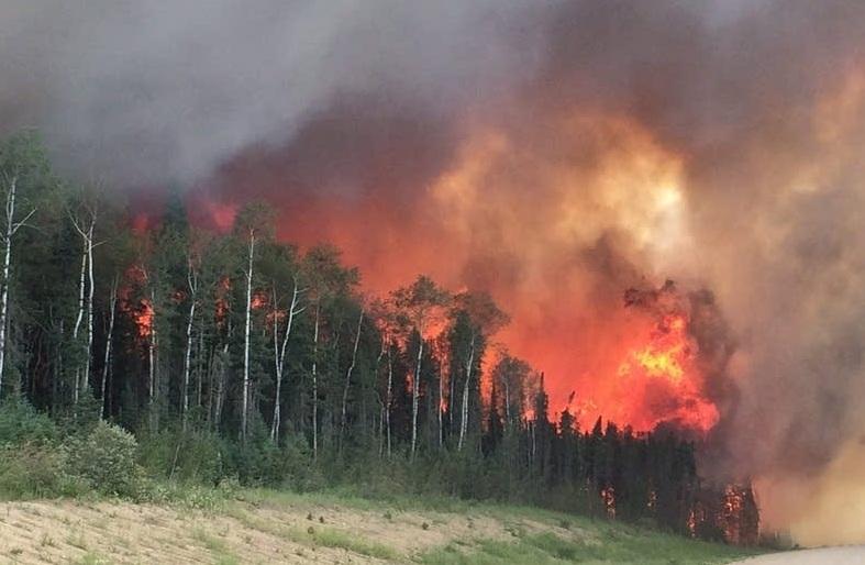 Two Backcountry Areas Are Closed Because of Wildfires