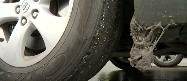 A resident of Winnipeg demands compensation from the city for damag... A resident of Winnipeg demands compensation from the city for damage that her car received during the repair work on the road