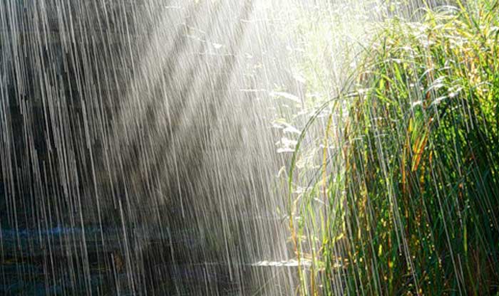 Winnipeg becomes colder: 100-year-old daytime high record nearly br... Winnipeg becomes colder: 100-year-old daytime high record nearly broken