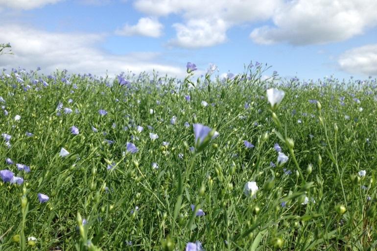 Manitoba Premier Pallister rotations: the new cabinet