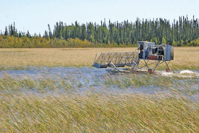 Abnormal heat in Manitoba: farmers lost a part of their harvest