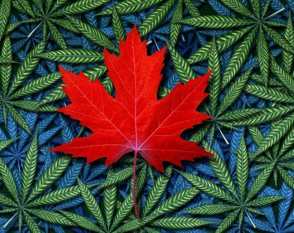 Lakewood Agencies issued cannabis policy for people living in its buildings