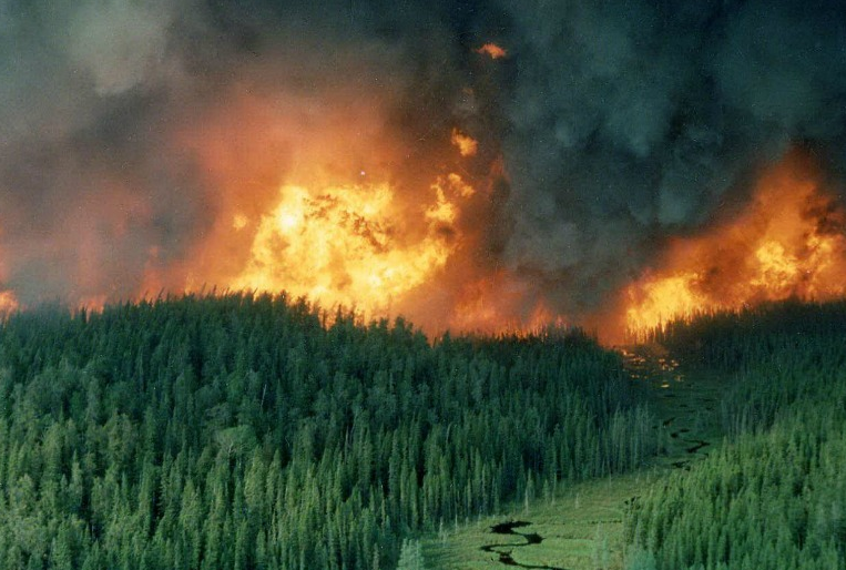 Fires on the border of Manitoba-Ontario: the smoke came to Winnipeg Fires on the border of Manitoba-Ontario: the smoke came to Winnipeg