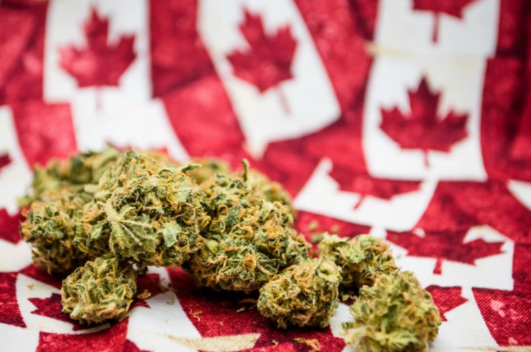 Violation of cannabis laws will lead to fines