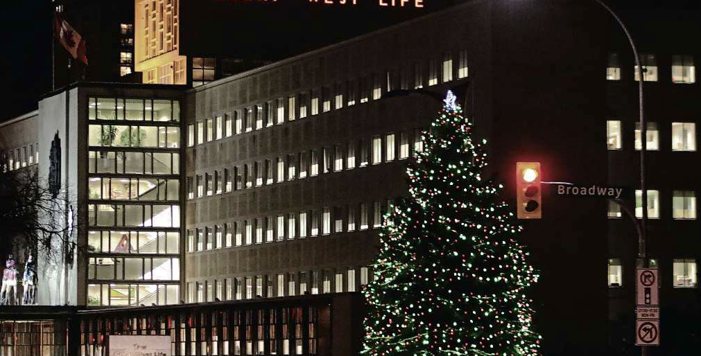 Winnipeg wants to find the best Christmas tree