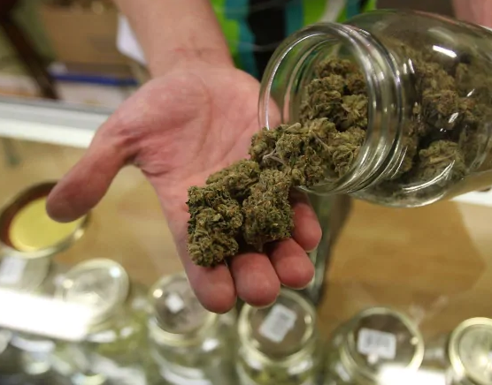 A new application can help residents of Manitoba get home delivery of cannabis