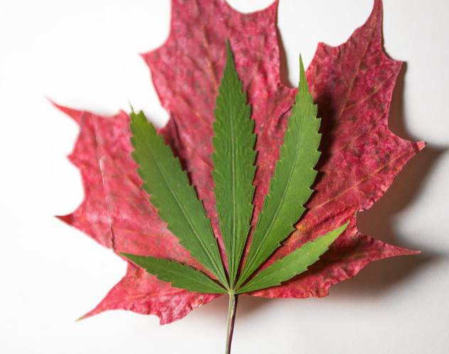 It is unclear whether the province will have time to prepare for the legalization of cannabis