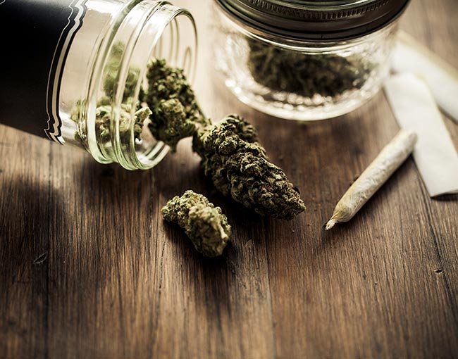 WRHA cannabis policy for employees