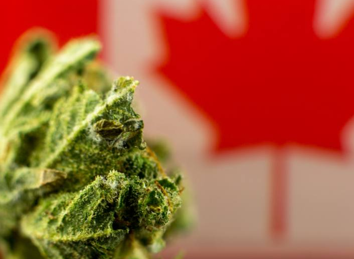 Know My Cannabis Limits campaign informs residents of the province about cannabis use