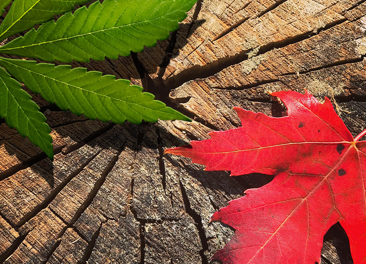 Six Manitoba retailers will sell cannabis from Wednesday