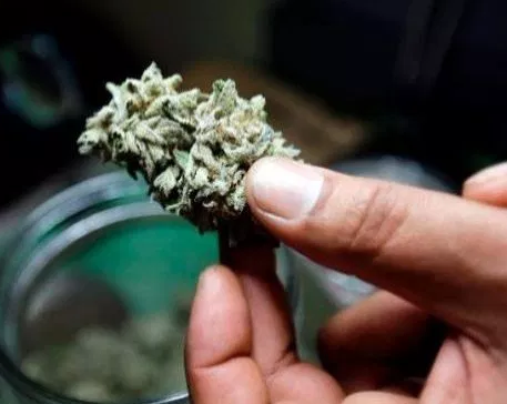 News about fines, legalization and weather in the province