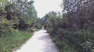 Sexual assault in Harte Trail