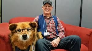 Portrait of a dog wearing glasses in the Hospital
