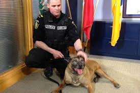 Convenience store robbery