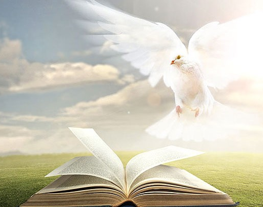 A woman from Manitoba wrote a totally Holy Spirit book A woman from Manitoba wrote a totally Holy Spirit book