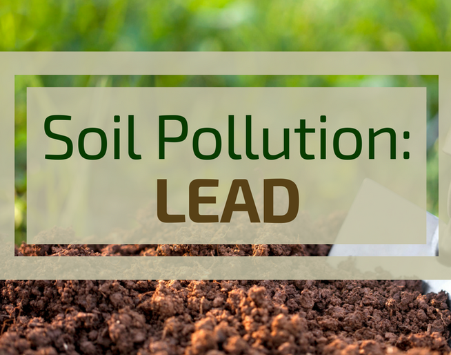 The results of soil samples testing for lead content are known