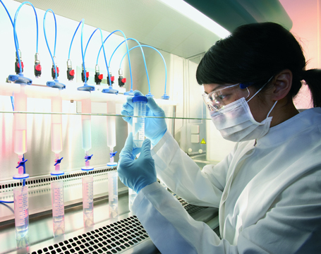 Health Sciences Centre will conduct stem cell research