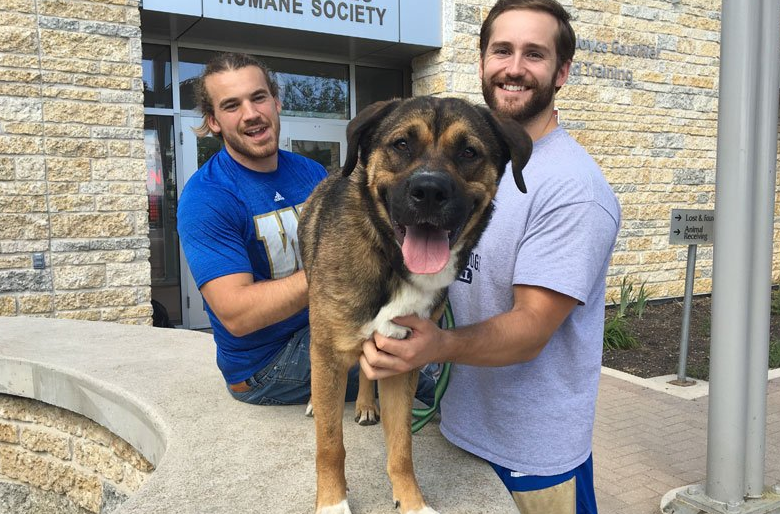 Do you want to have fun at Christmas? Take the dog from Winnipeg Humane Society