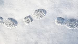 Winnipeg police finds car thief by footprints in snow 