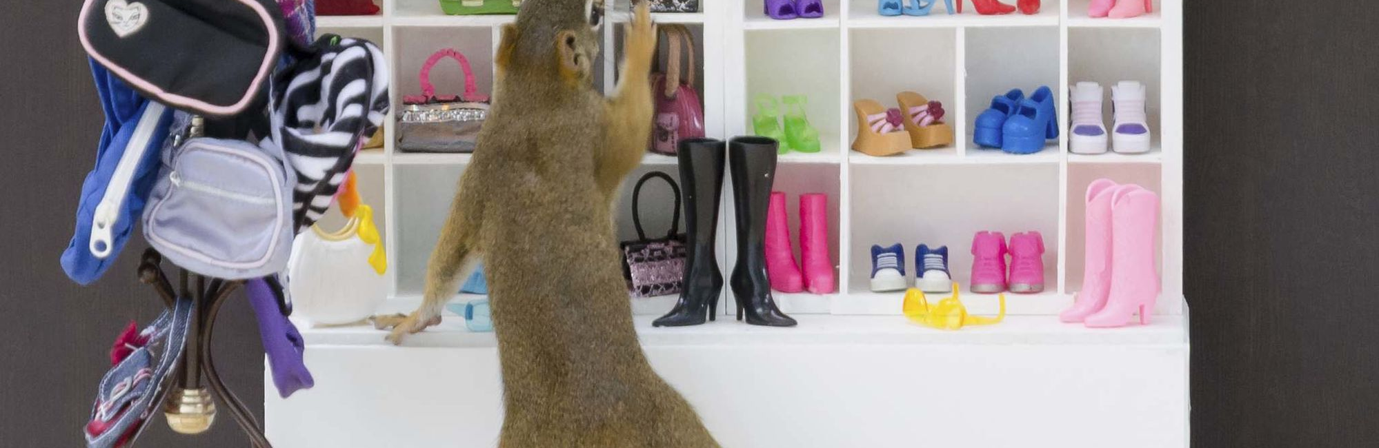 Winnipeg photographer takes unusual photos of squirrels