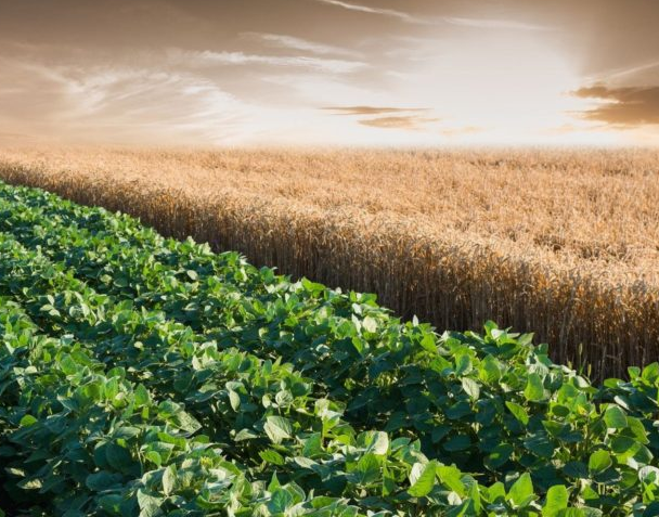 Canadian farmers are not against the use of pesticides