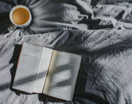 Manitoba book critics recommend 6 books to read before to watch their screen adaptations