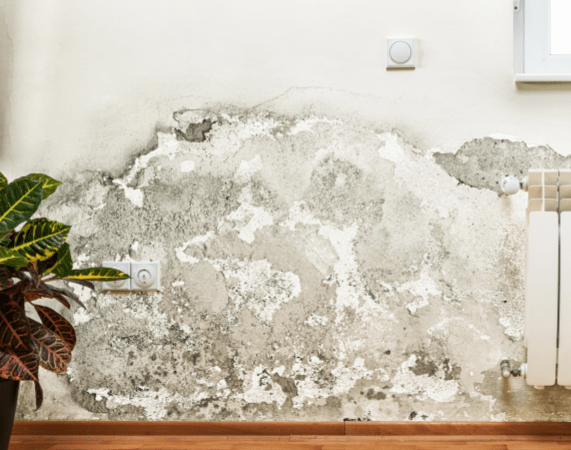 Winnipeg residents complain about terrible conditions of the house they live in