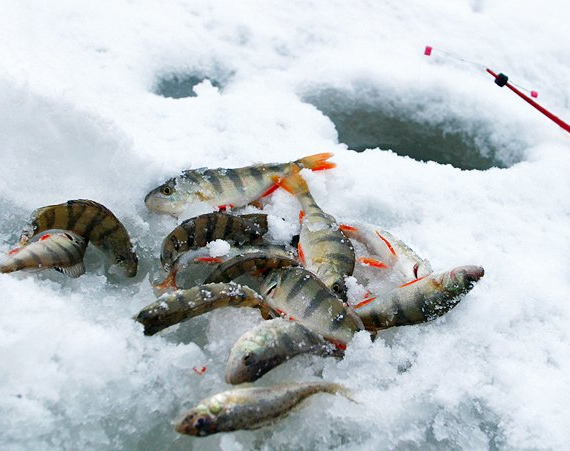 A family from England come to Lake Winnipeg to go ice fishing for 14 years in a row