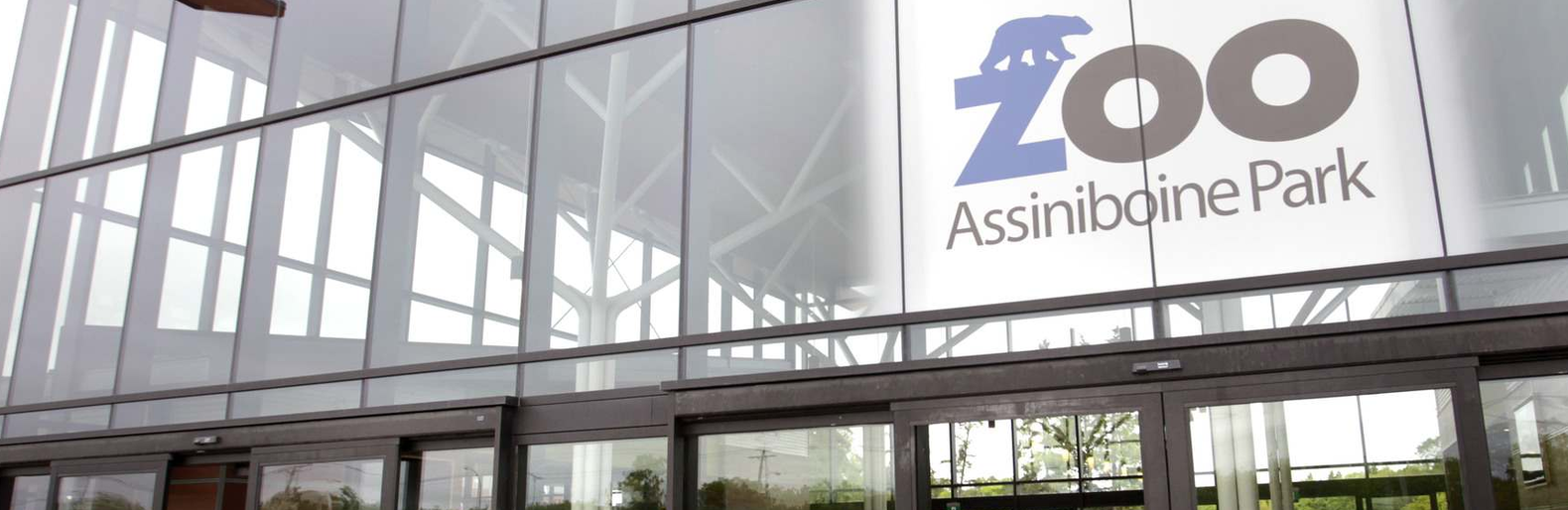 Winnipeg Zoo welcomes a baby white-handed gibbon