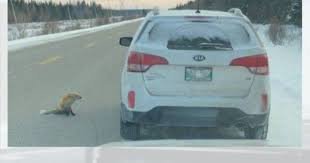 Slow down or pay the fine