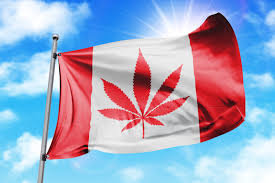 International cannabis tourism in Canada
