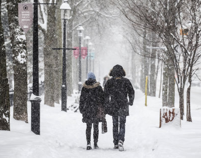 January 2019 has become the coldest month since 2015
