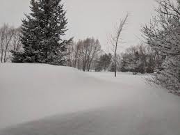 Parts of Manitoba shut down due to heavy snow