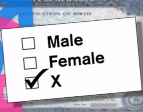 Winnipeg human rights hearing will decide whether gender-neutral birth certificates should appear 