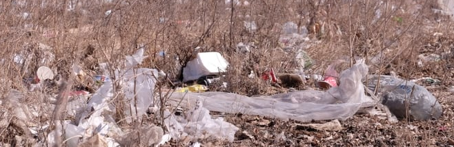 Take Pride Winnipeg is concerned about the litter situation in the city