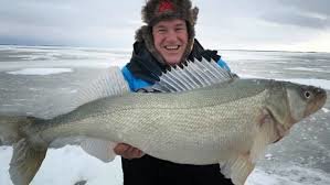 Lake Winnipeg will get some new fishing rules and measures 